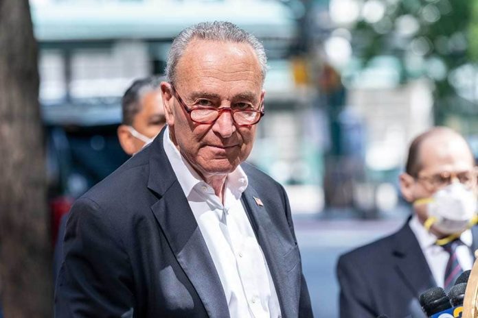Chuck Schumer Admits He Wants Refugees to Take American Jobs