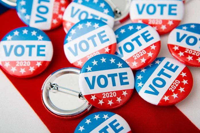 New Poll Reveals Voter Feelings on Overturning Election