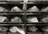 Morgue Overrun by Drug Deaths