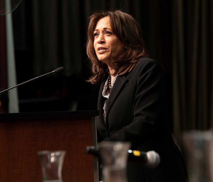 Fellow Democrats Offer To Help Kamala Harris After Negative Media Coverage