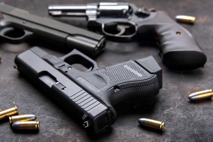 Fox News Star Pushes Gun Control on National Television