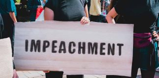 Person holding an Impeachment sign at protest.