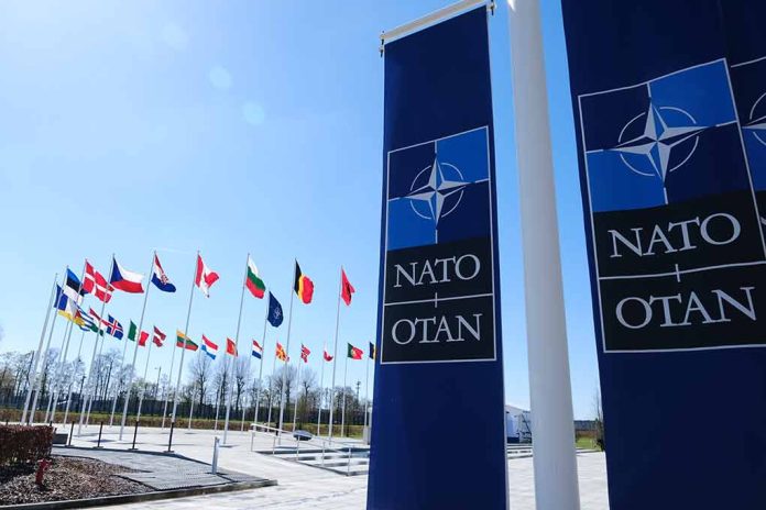2284120429 featured image NATO flags and banners under clear sky.