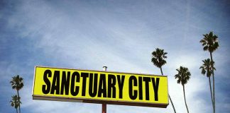 Sanctuary City sign with palm trees and sky.