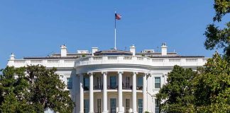 White House with American flag and garden