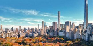 Autumn trees in Central Park with city skyline.