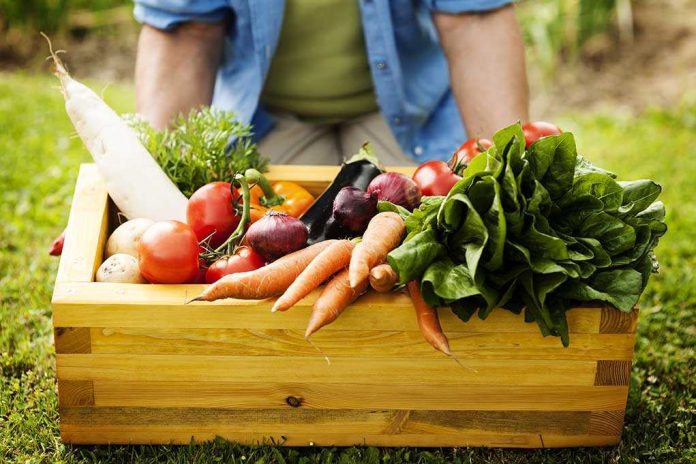shutterstock_126744203.jpg A wooden crate filled with various fresh vegetables in a garden