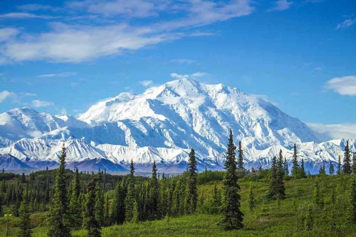 Snow-covered mountain under blue sky with green foreground.
