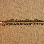 Finger drawing line in wet sand beach