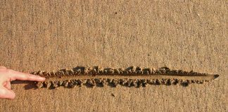 Finger drawing line in wet sand beach