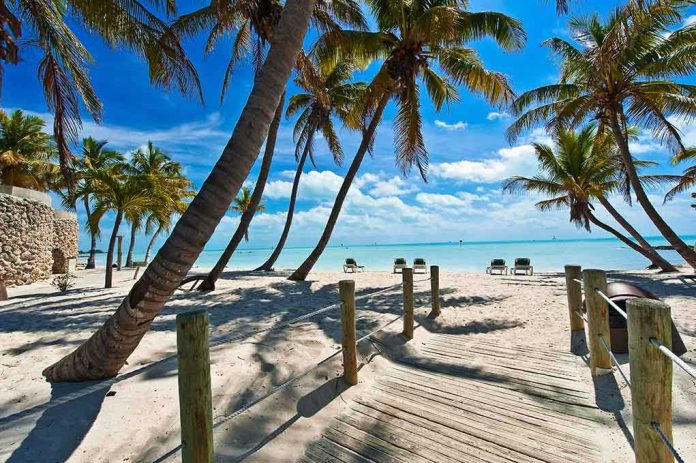 Tropical beach with palm trees and clear blue water