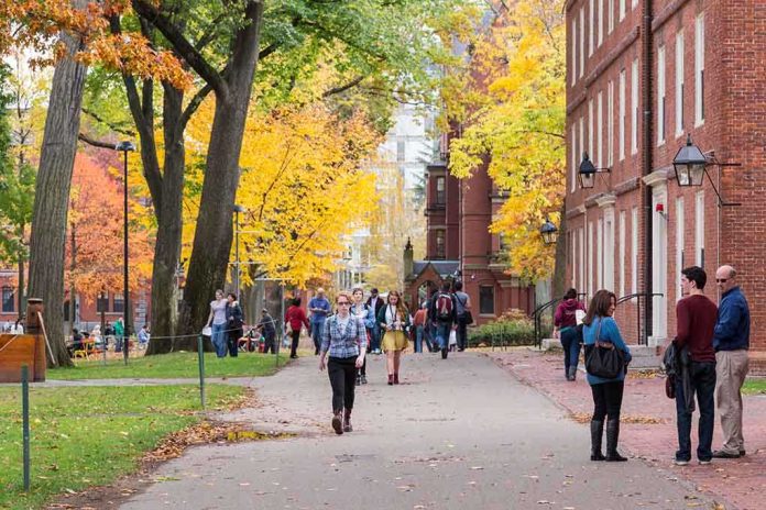 Students walking on a campus path surrounded by autumn trees and brick buildings
