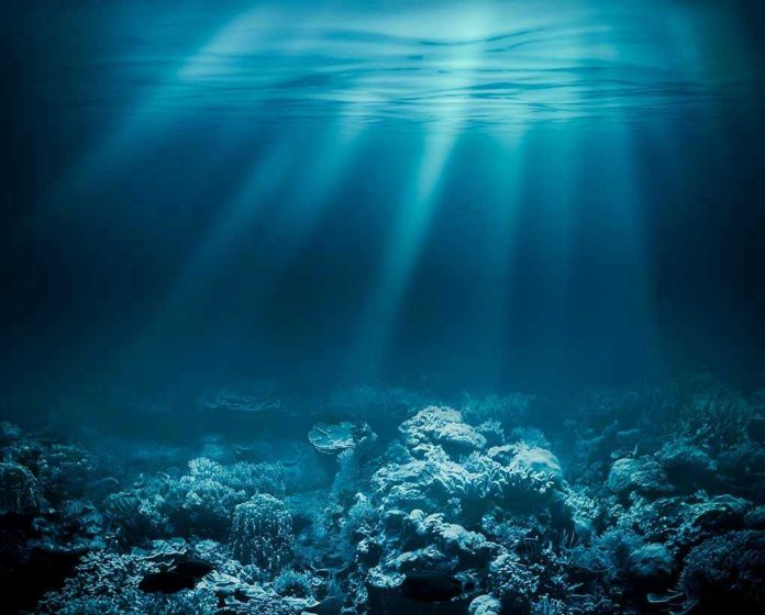 Sunlight beams illuminating ocean coral reef underwater scene.