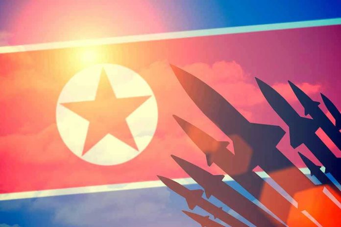 North Korean flag with missile silhouettes.