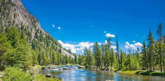 Mountain river landscape with trees and clear blue sky.