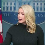 'Dangerous rhetoric' by Democrat officials have escalated ICE