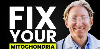 How This Compound Fights Alzheimer's and Brain Aging