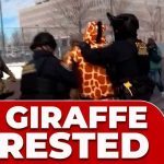 Giraffe-Costume Arrest Stuns ICE Protest ICE arrests PROTESTER in GIRAFFE costume at tense