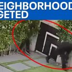 LA residents arm themselves after repeated break-ins | FOX