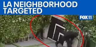 LA residents arm themselves after repeated break-ins | FOX