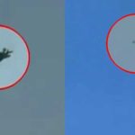 Friendly Fire Shock: US Confirms 3 F-15s Mistakenly Shot