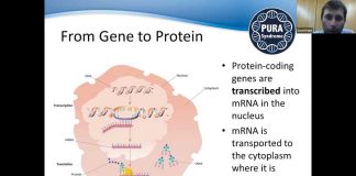 Genetic Data Listed For Sale