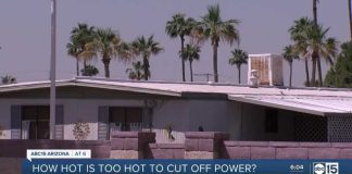 Power Company Chose Profit Over Grandma's Life