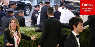 Met Gala Crasher CRUSHED—Border Wide Open Daily