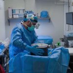 Brains on Life Support—For Profit? How These Doctors Keep Brains Going After Death