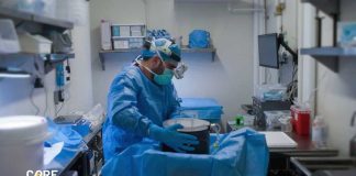 Brains on Life Support—For Profit? How These Doctors Keep Brains Going After Death
