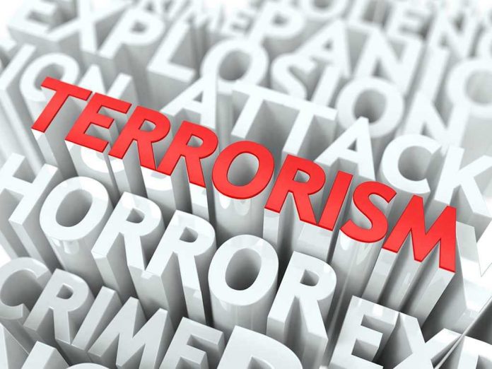 136628645 The word Terrorism highlighted among other words.