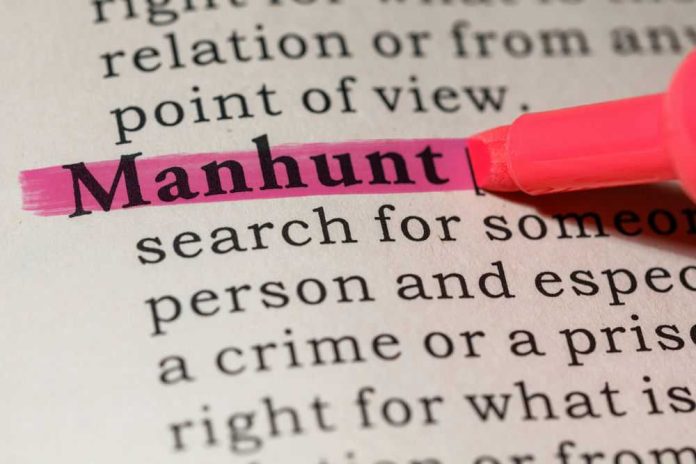 639317125 Pink highlighter marking word manhunt in book