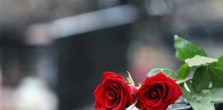 MYSTERY Illness Silences BELOVED Musician Two red roses on a gravestone.