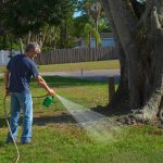 RARE Cancer CLUSTER Scare Hits Suburbs Man spraying water or herbicide on lawn near large tree