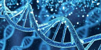 Genetic CRACKDOWN Hits Women’s TOP SPORT DNA double helix with glowing particles