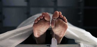 Human feet with toe tag on a morgue gurney