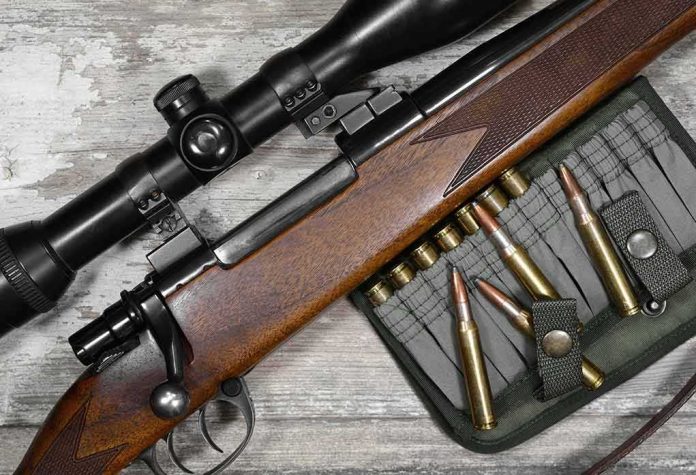 Bolt-action rifle with scope and rifle cartridges