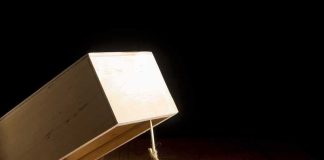 wooden box trap with cheese bait on a dark background