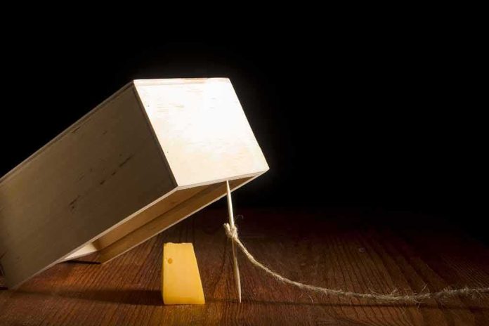 shutterstock_753081331-2 wooden box trap with cheese bait on a dark background